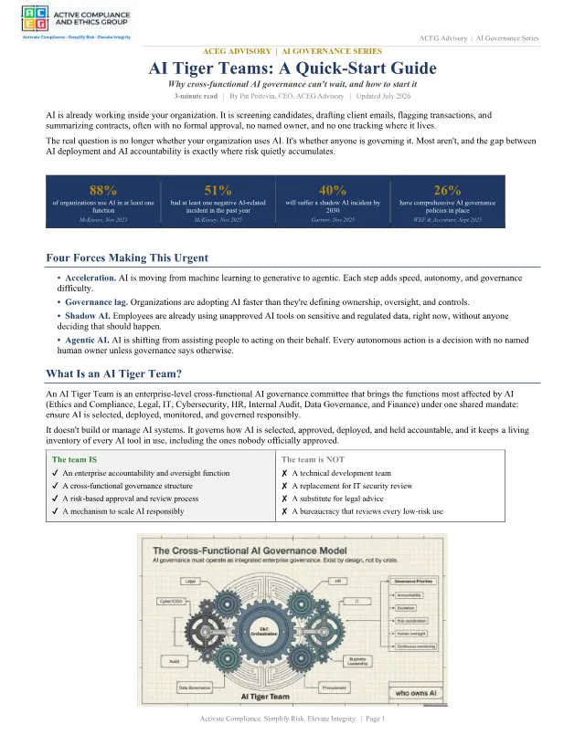 Cover of AI Tiger Team — Quick Guide to Create a Cross-Functional AI Governance Team